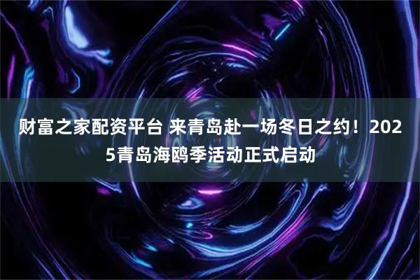 财富之家配资平台 来青岛赴一场冬日之约！2025青岛海鸥季活动正式启动