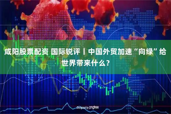 咸阳股票配资 国际锐评丨中国外贸加速“向绿”给世界带来什么？